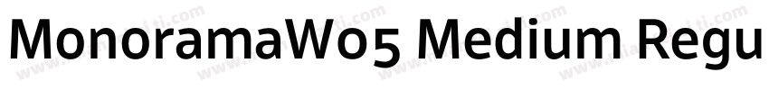 MonoramaW05 Medium Regular字体转换
